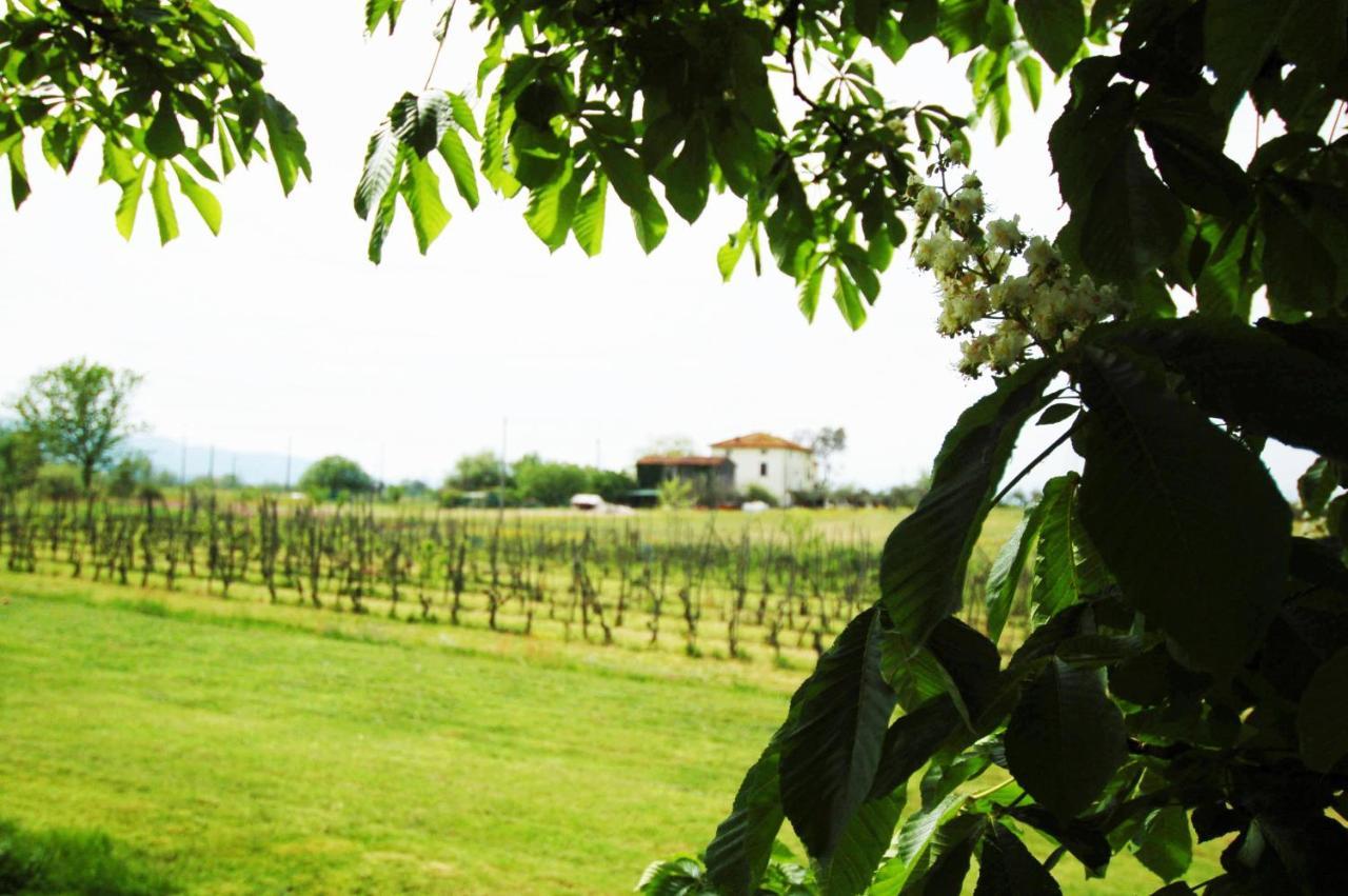 Frühstückspension La Ginestra 3*